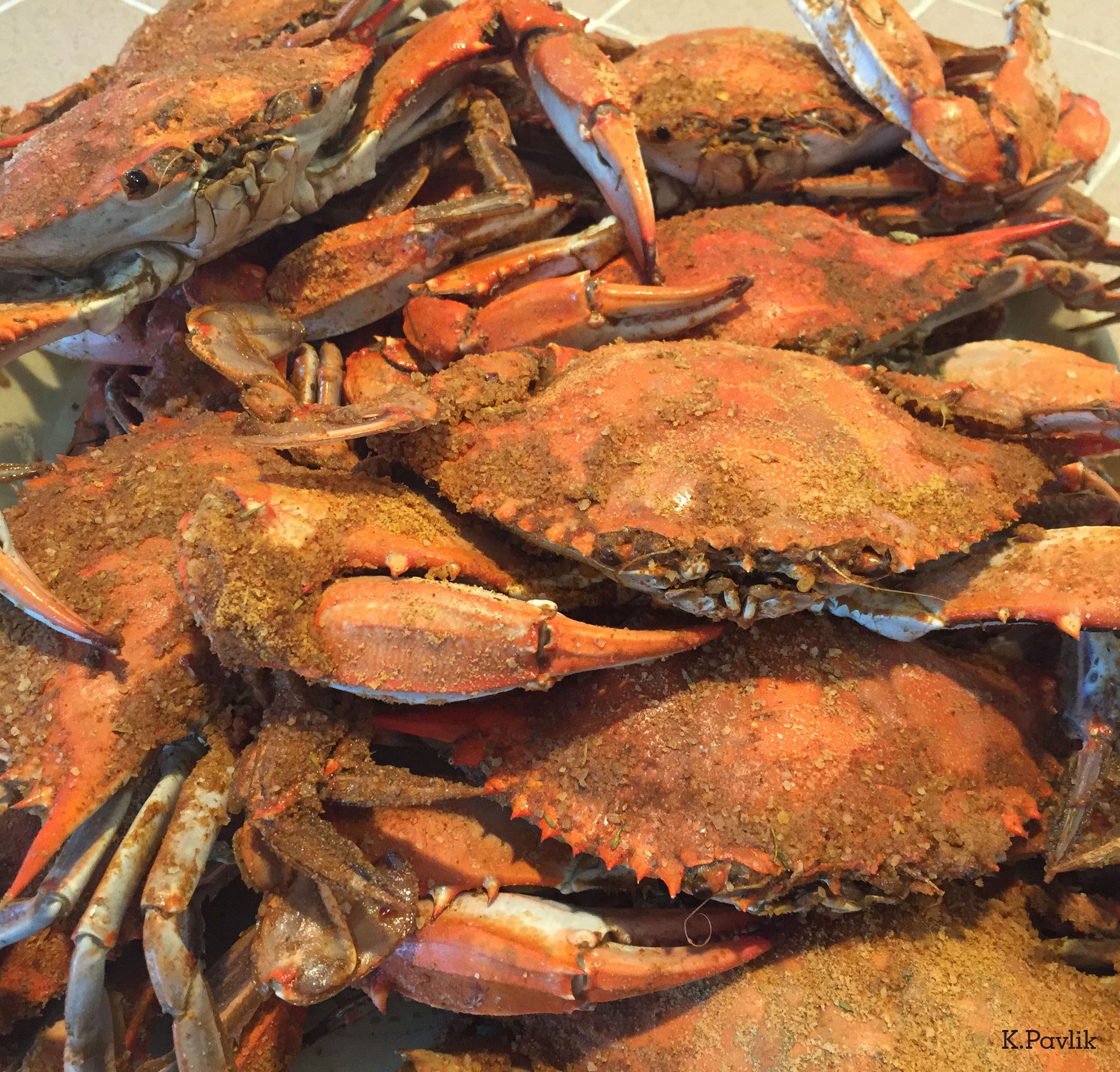 Karen Pavlik 3rd Cookedcrabs Spotlight 2