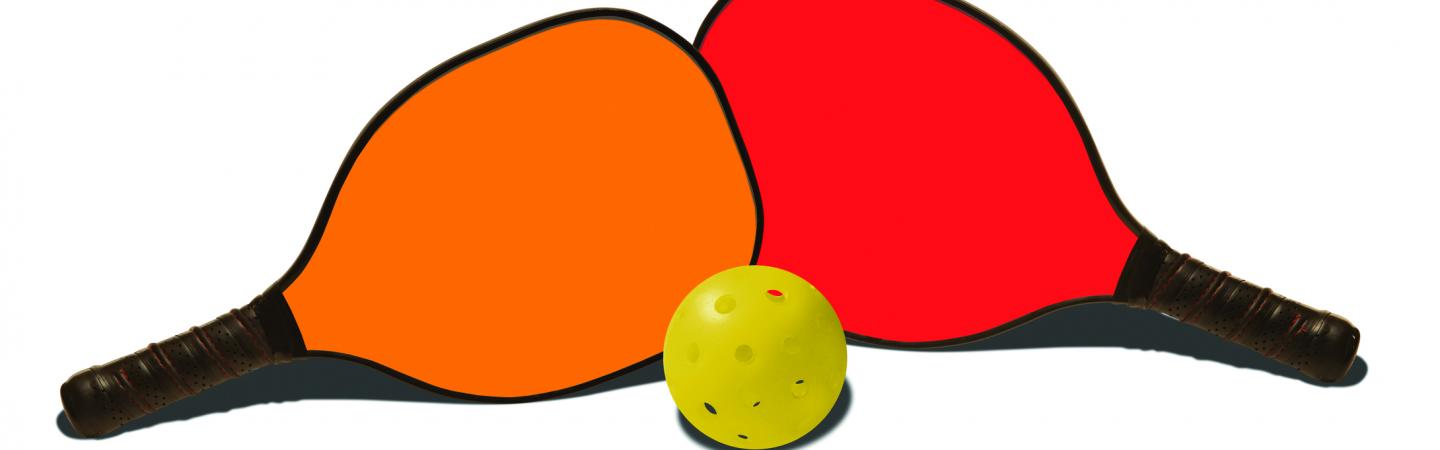 pickleball paddles_2