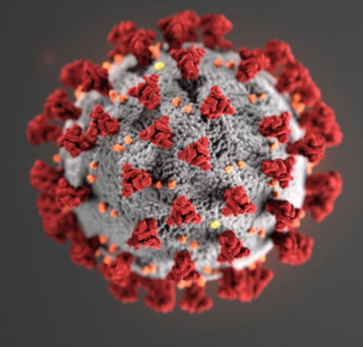 Coronavirus Spoitlight