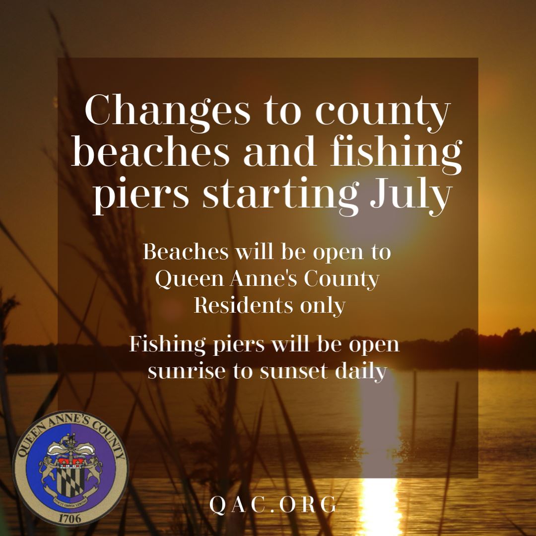 Citizen Alert copy (1)