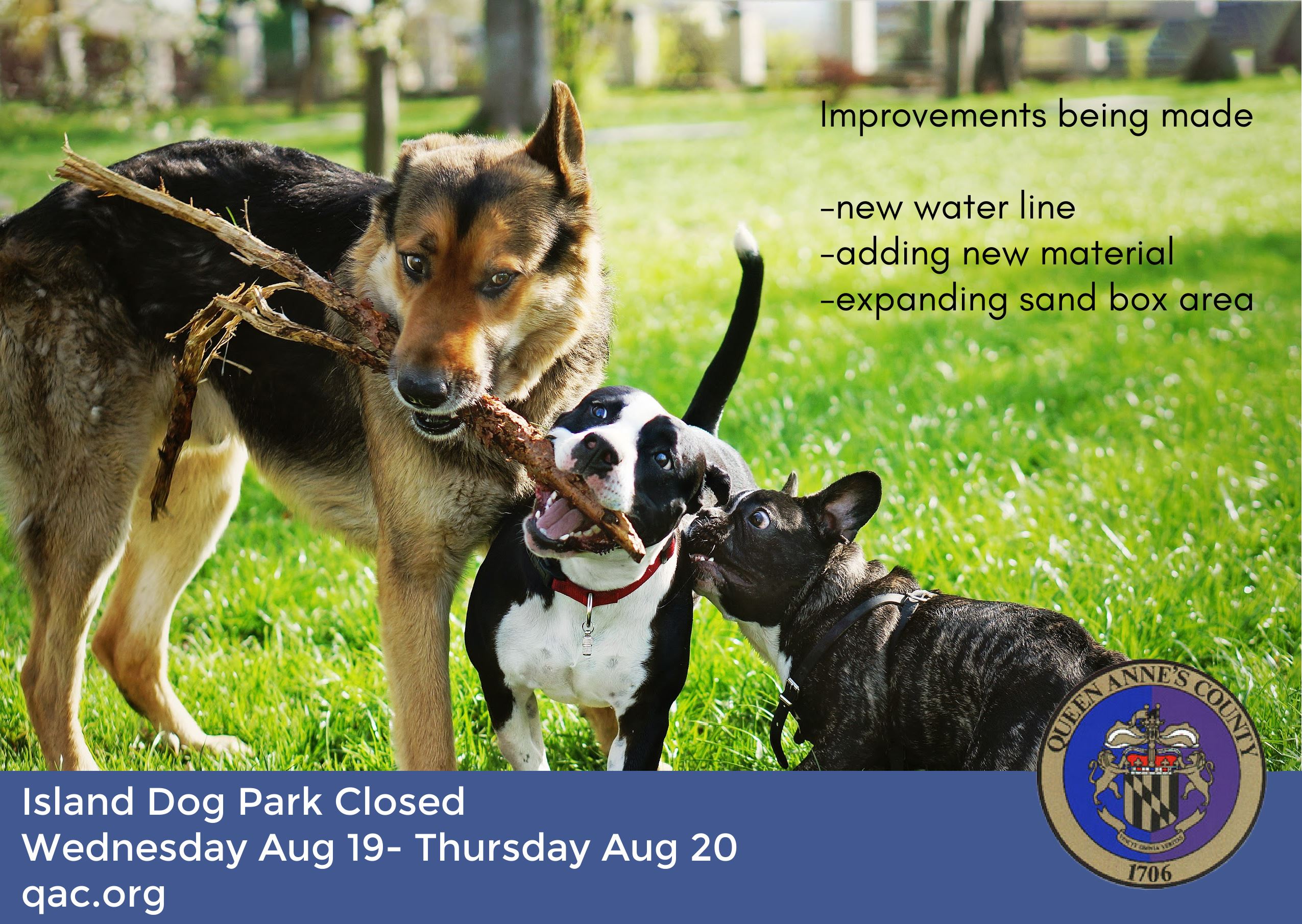 Untitled copy copy (3)