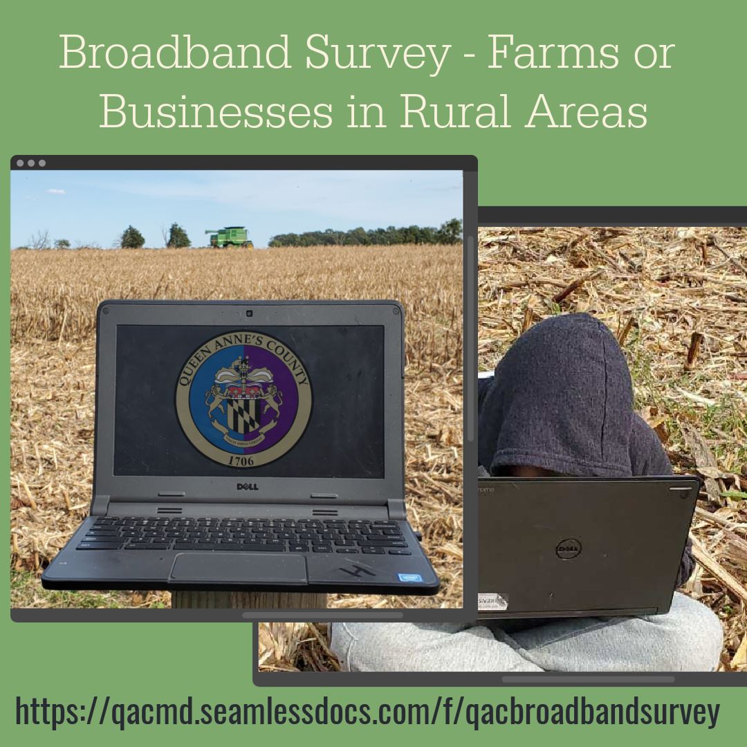 Broadband Survey