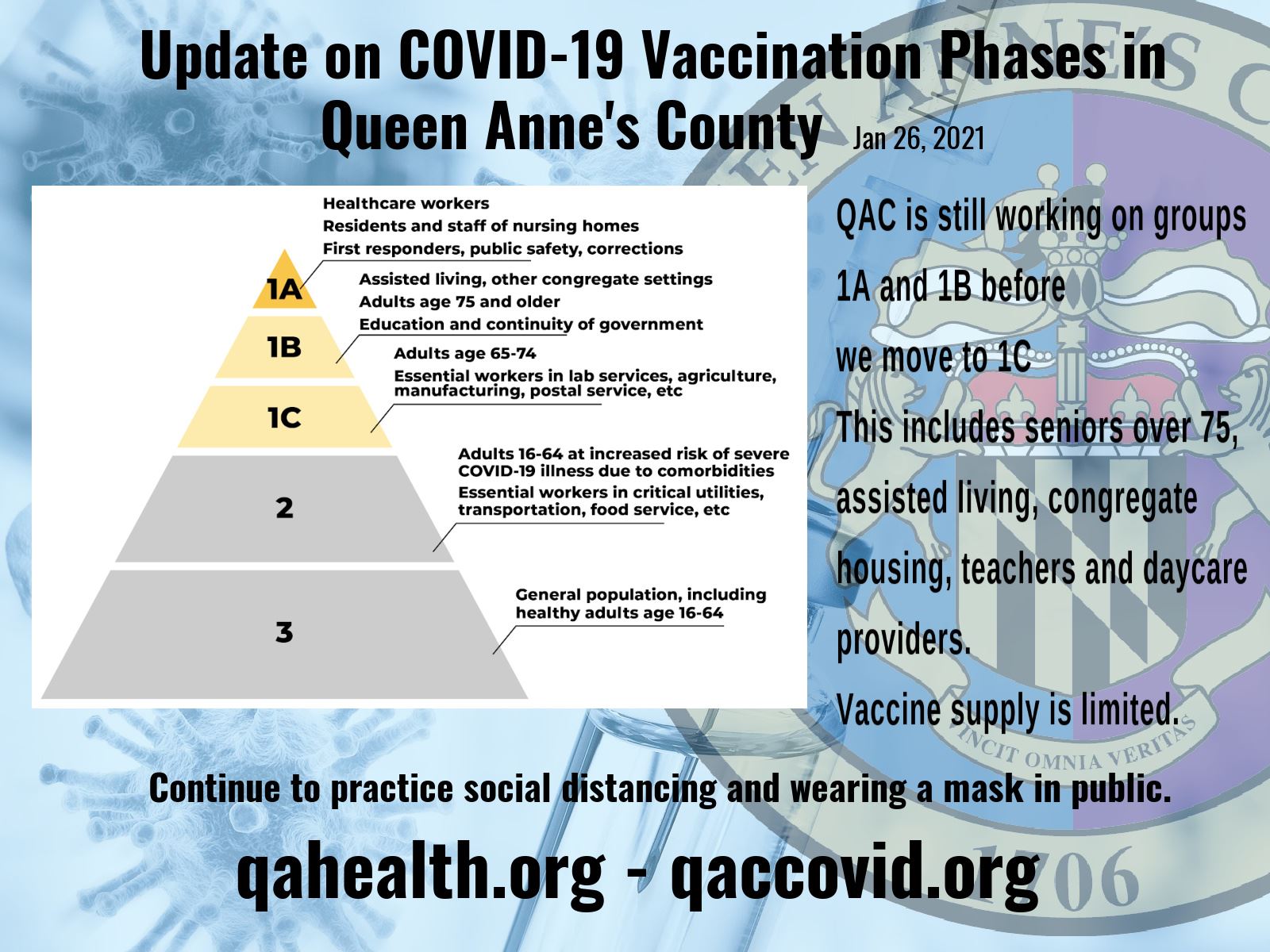 Vaccine Phases