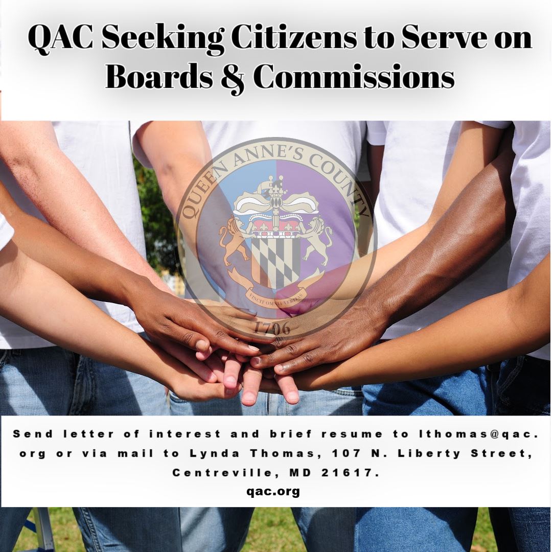 Boards and Commissions new copy