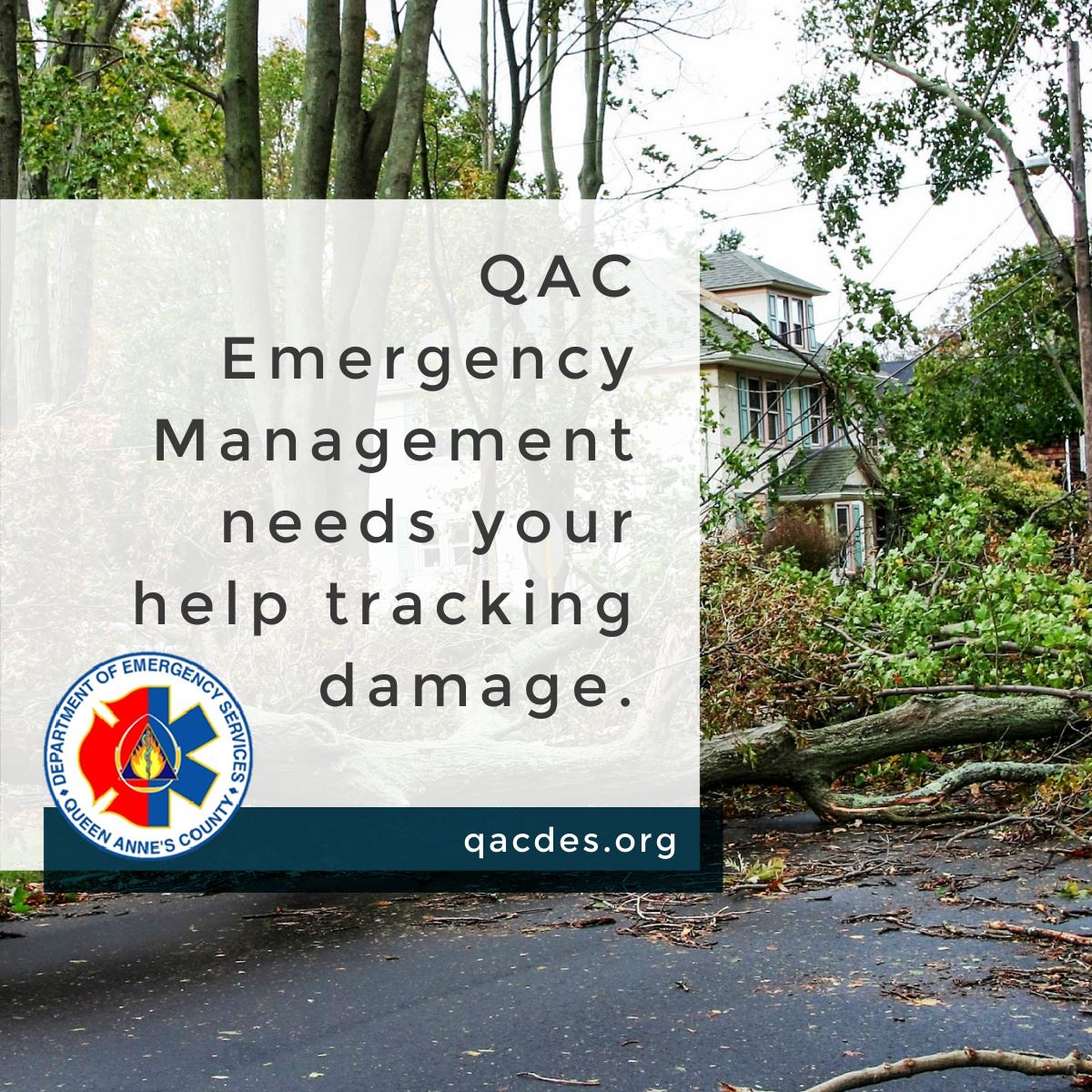 Damage from storm (1)