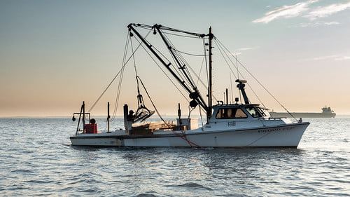 227200835_4214815268606518_546849515027305089_n