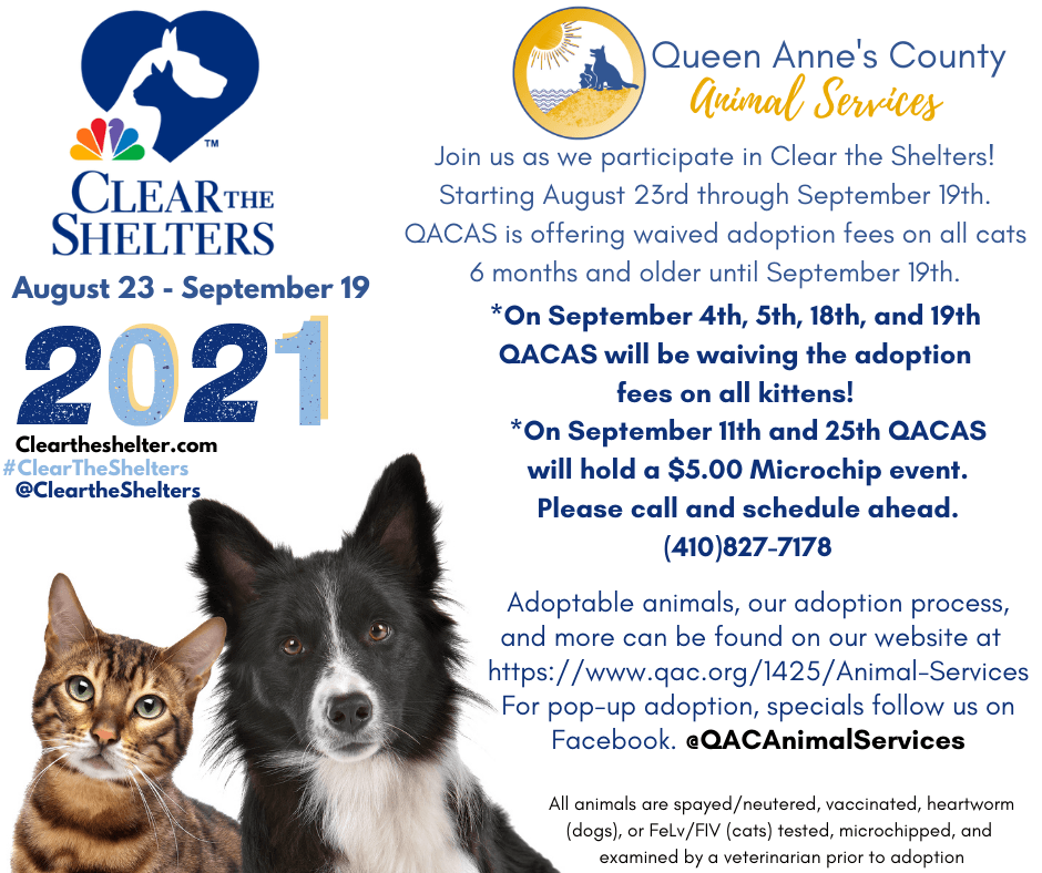 Clear the Shelters  (5)