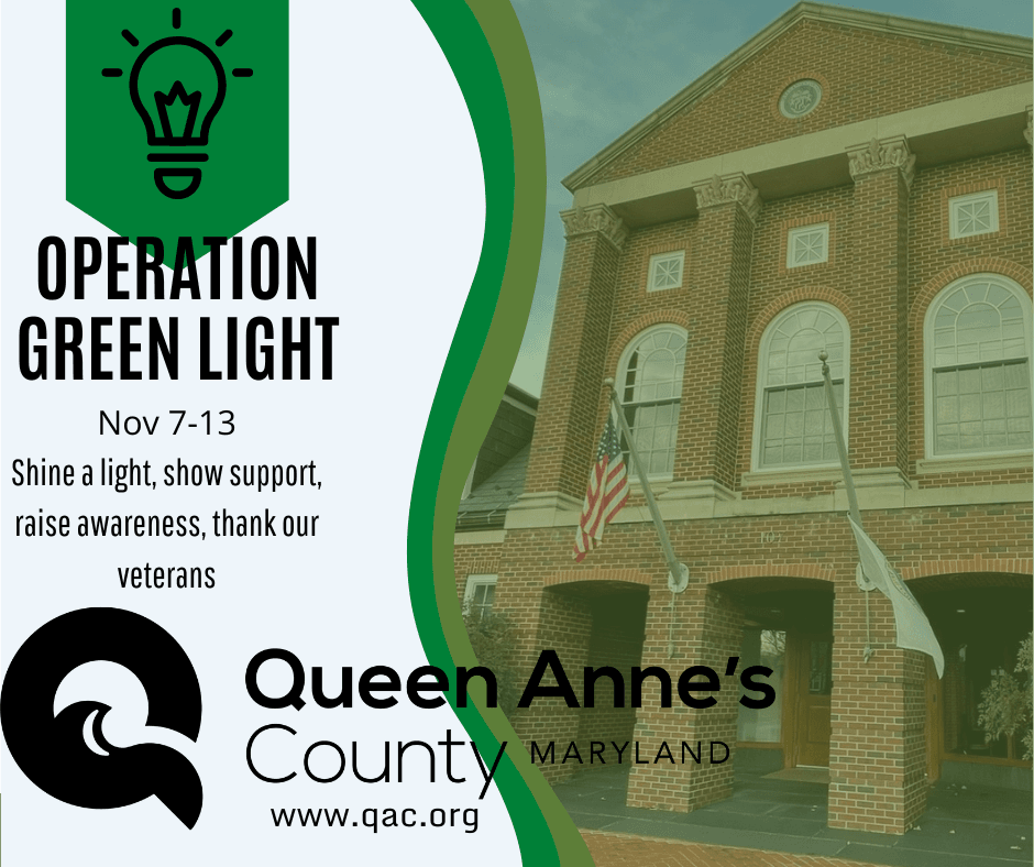 Project Green Light liberty (4)