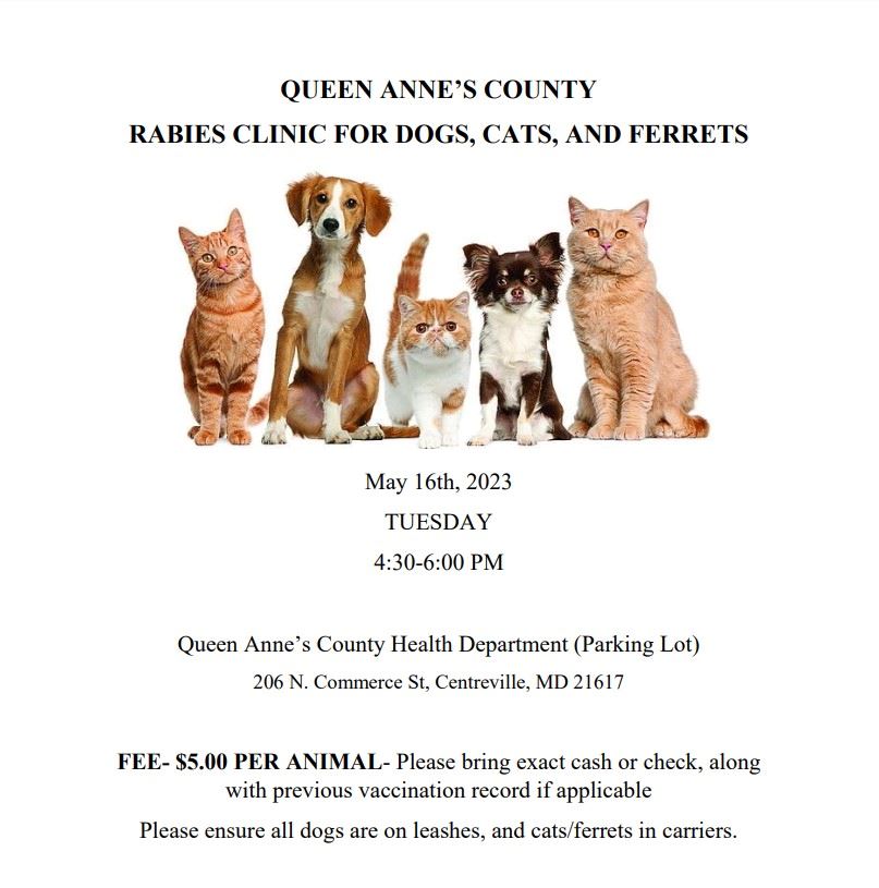 339919284_167805576164428_1789154548577378721_n