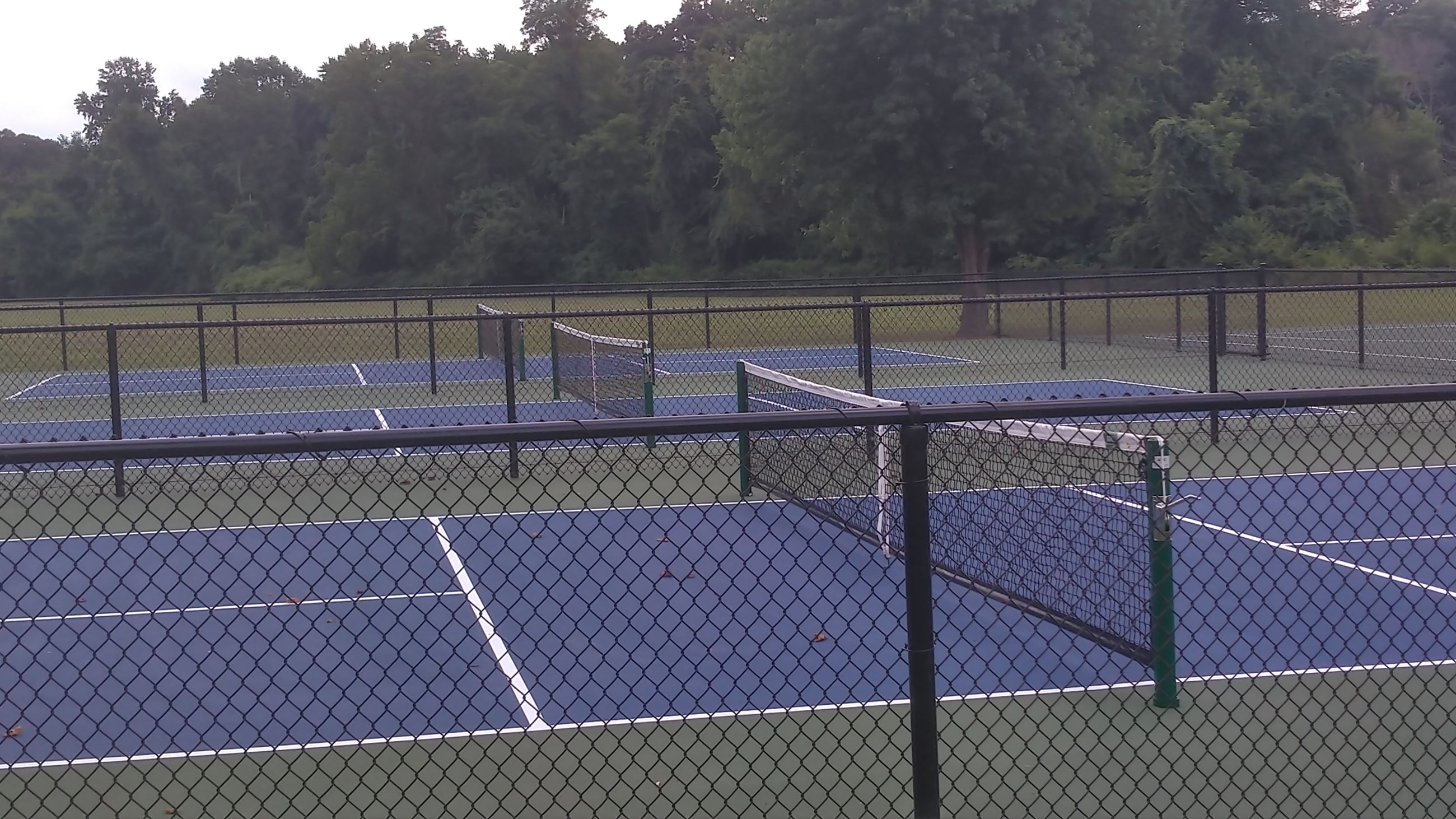 Pickleball Round Top