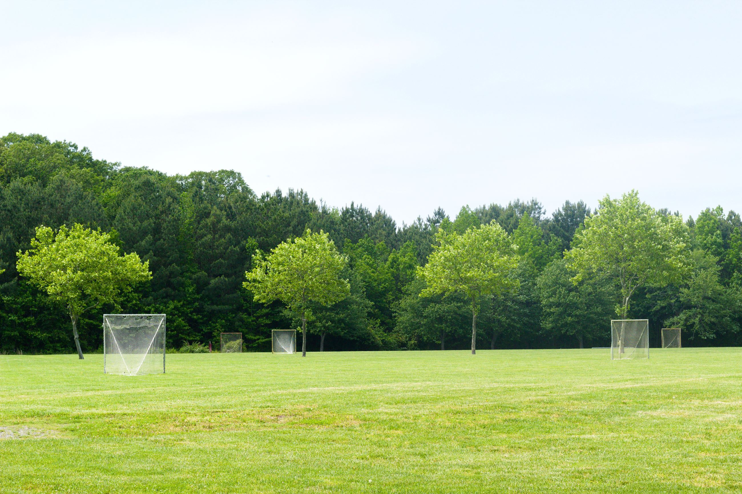 Batts neck Grass Field