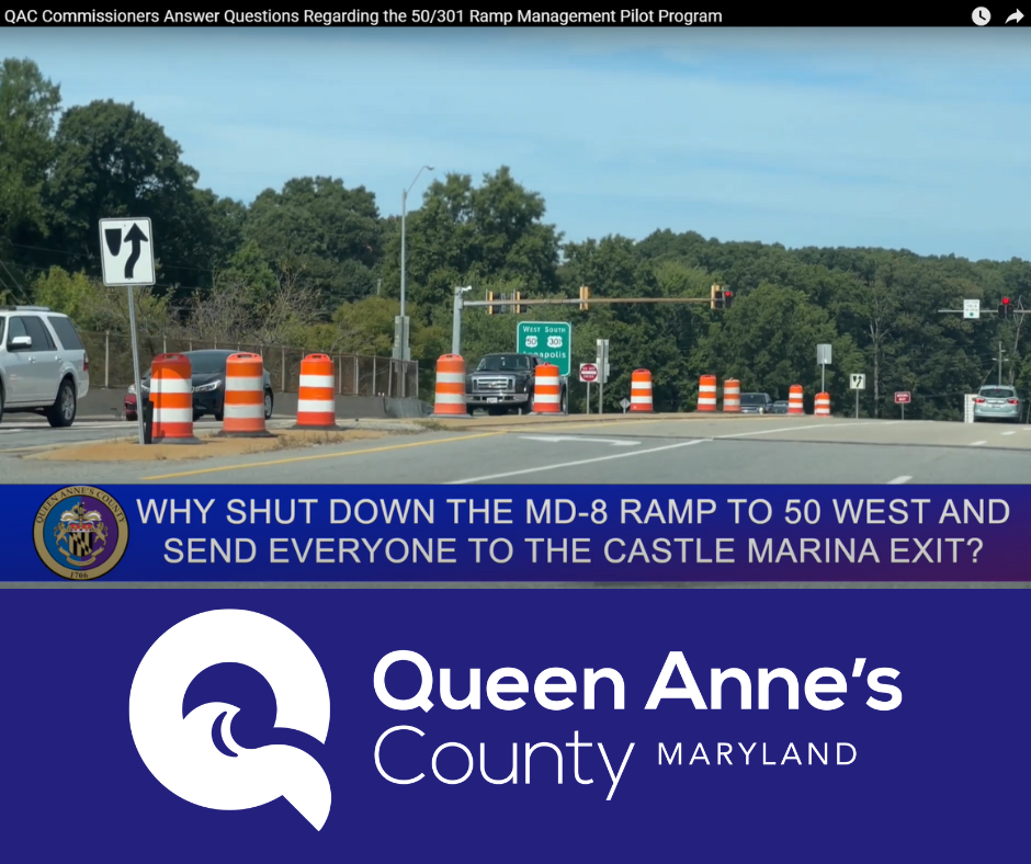 Untitled design (31)