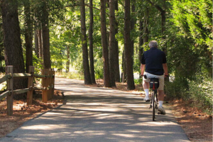 South Island Trail Biker 2