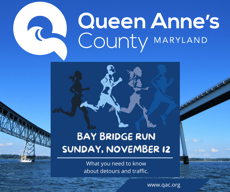 bay bridge run sunday, November 12