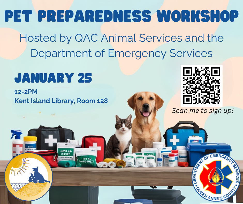 Pet Preparedness Workshop (3)