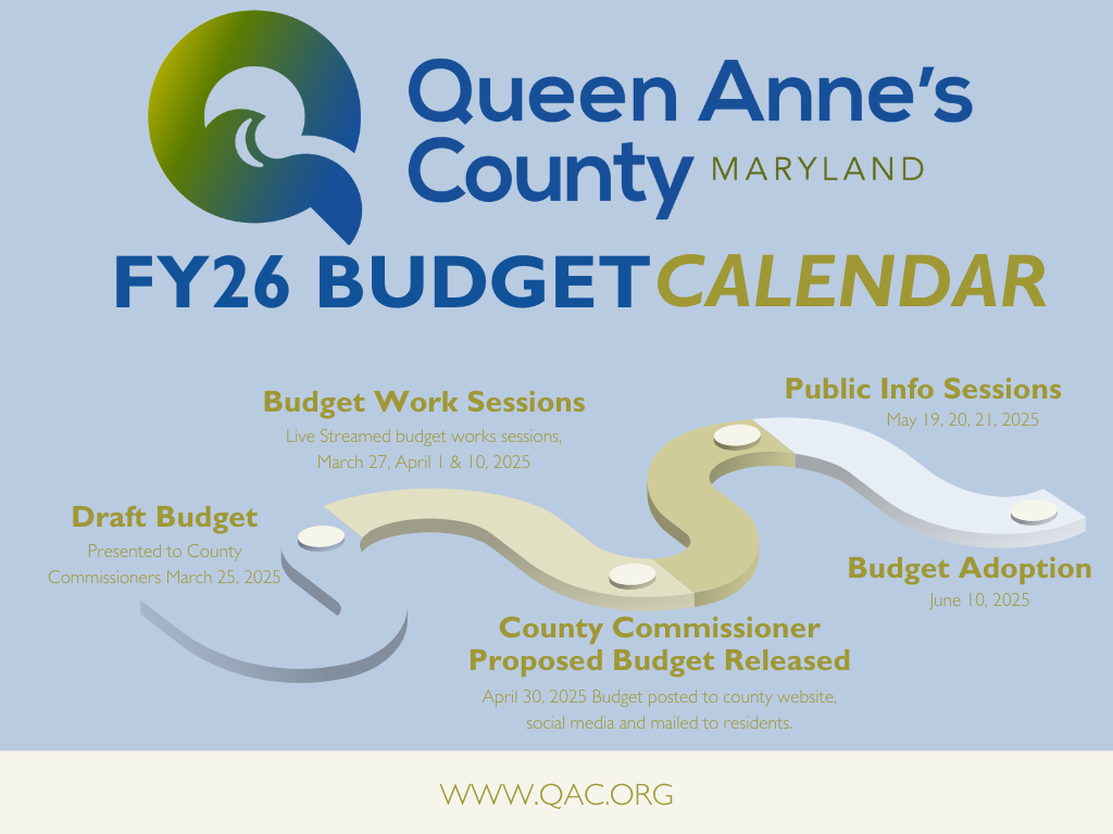 Dark Blue Simple Modern Project Timeline Graph