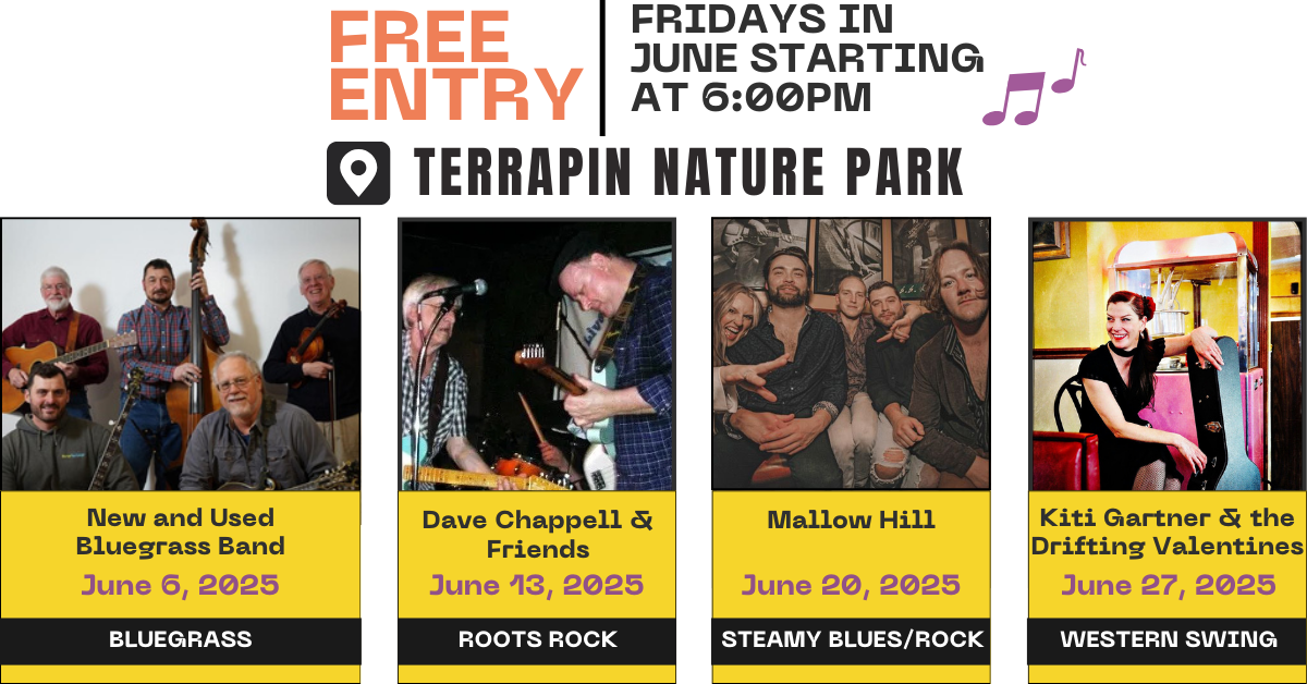 Concert Schedule Banner