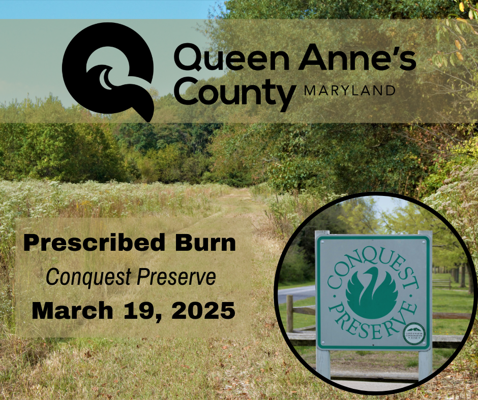 Prescribed Burn at Conquest Preserve March 19, 2025