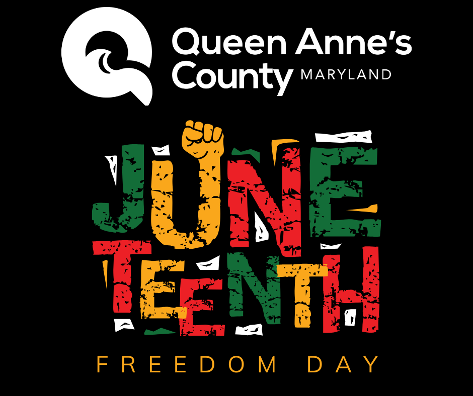 Untitled design (54)