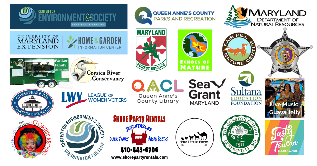 Website Banners (35)