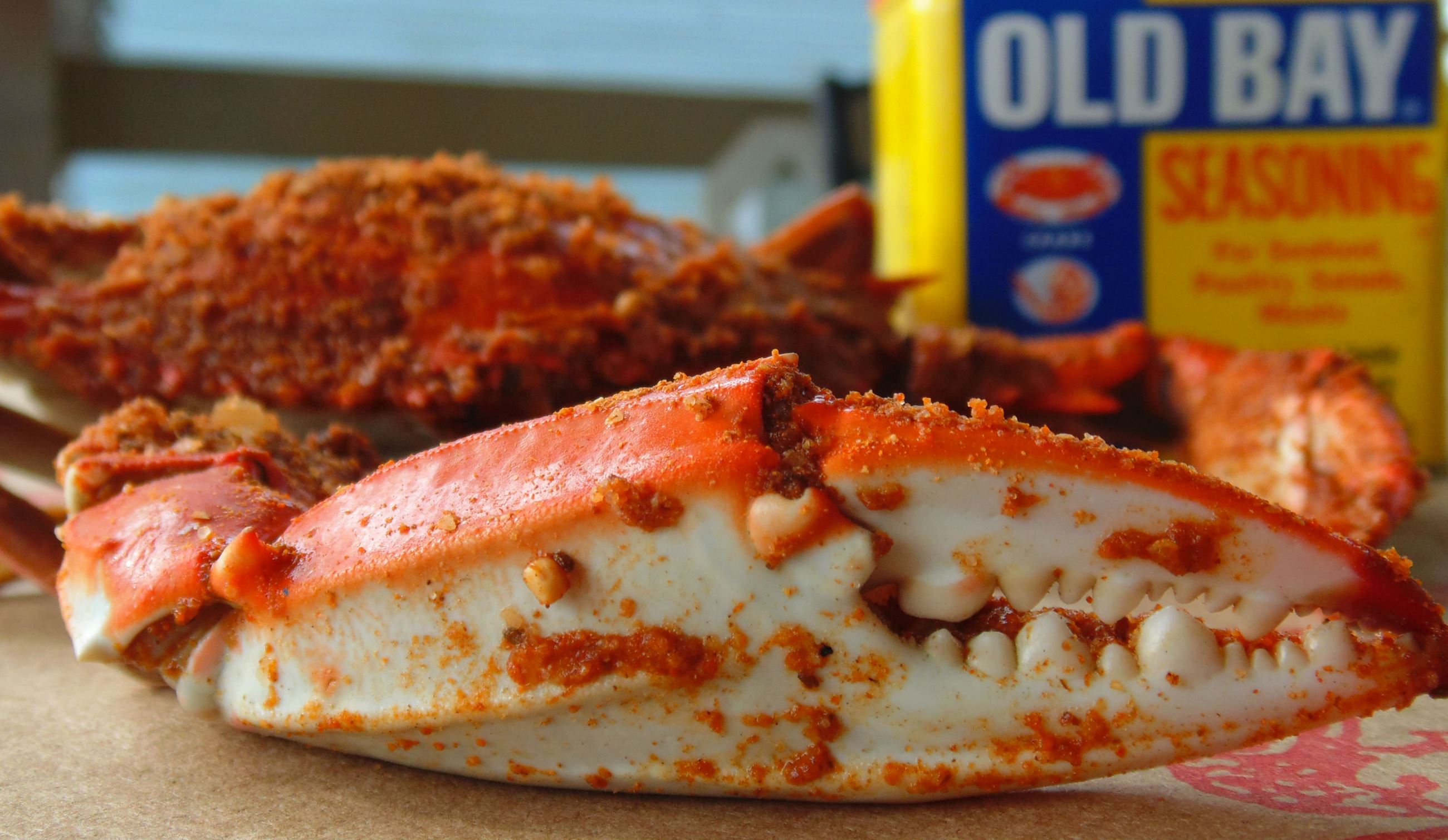 Brian Suite-Crabclaw