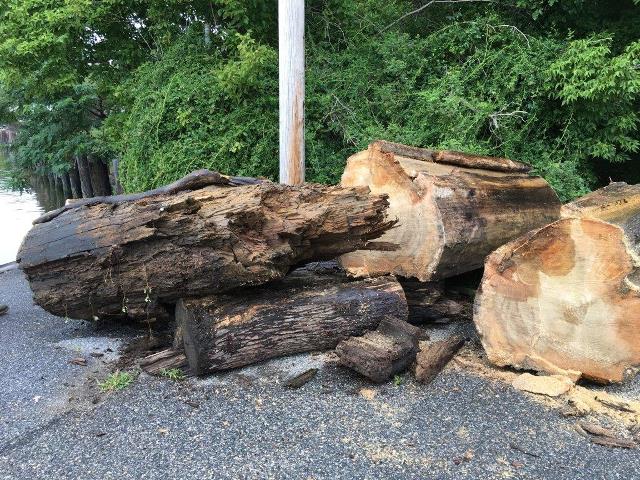 Logs retrieved by DNR at Matapeake July 30 Websize