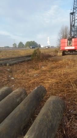 Resized 20190208_153506a