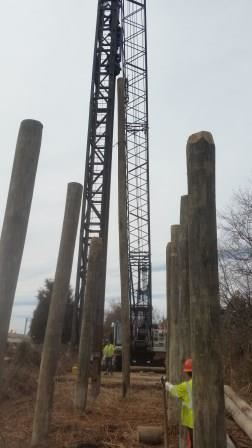 Resized 20190311_141146