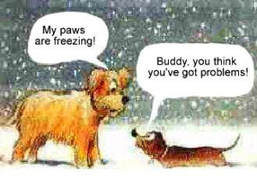 dog-joke-cold-outside
