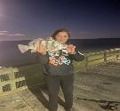 2022.10.3 Immature Black Drum FIsh at Romancoke