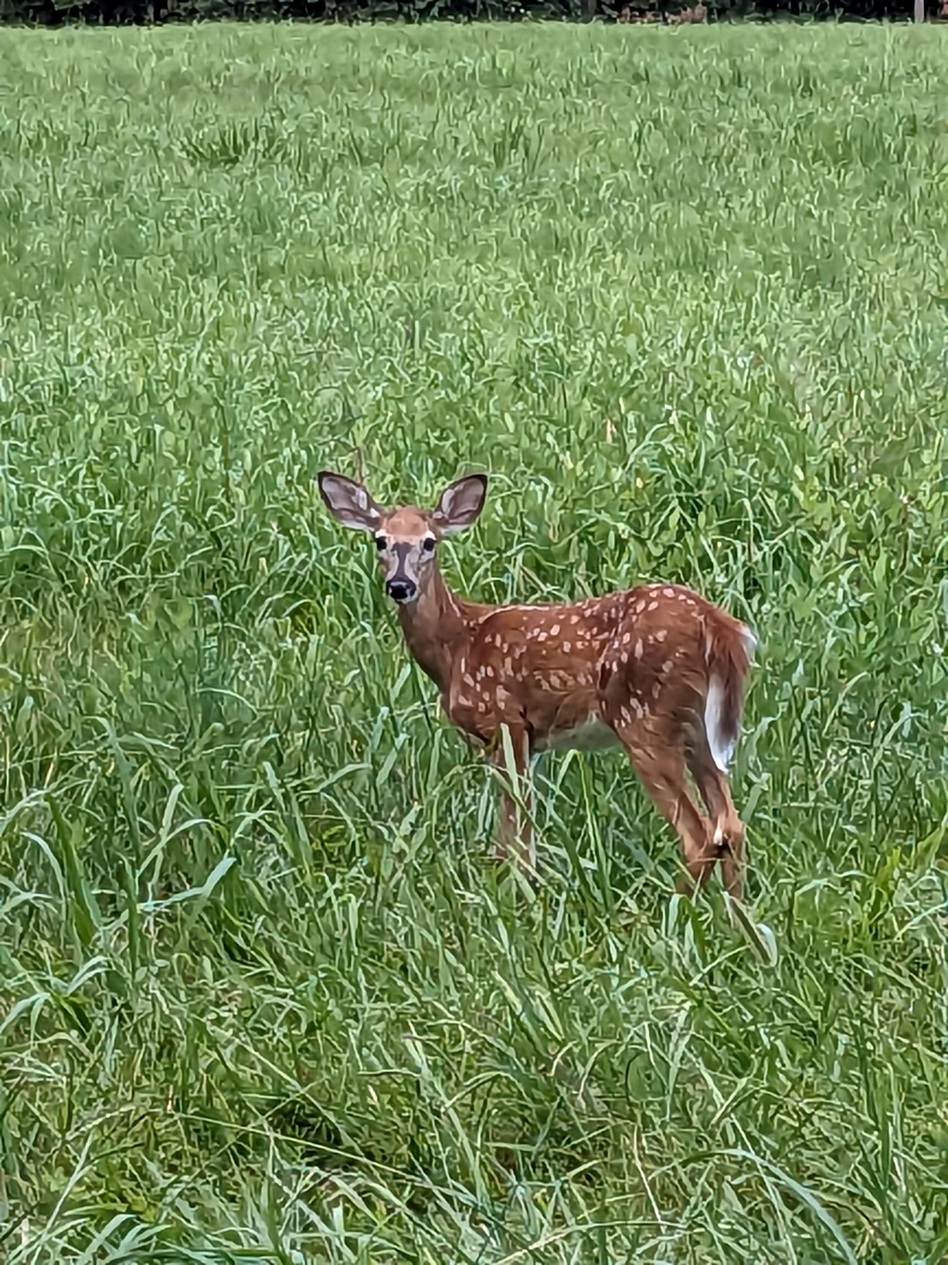 PXL_20230816_193311681