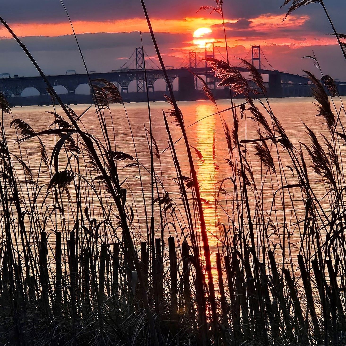 Easter sunset Bay Bridge